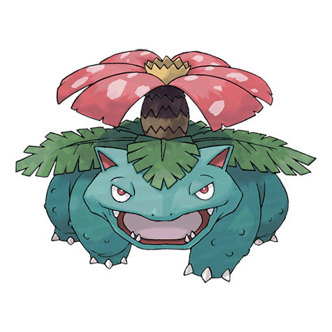 Venusaur silhouette, algorithmic comparison