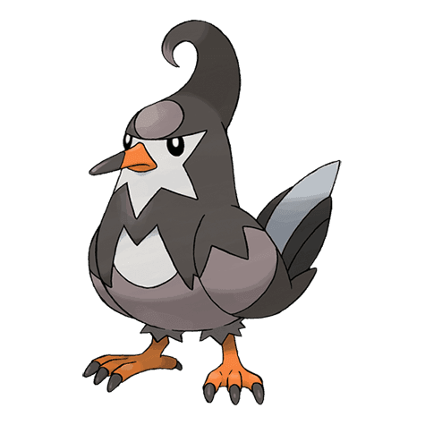Staravia silhouette, algorithmic comparison